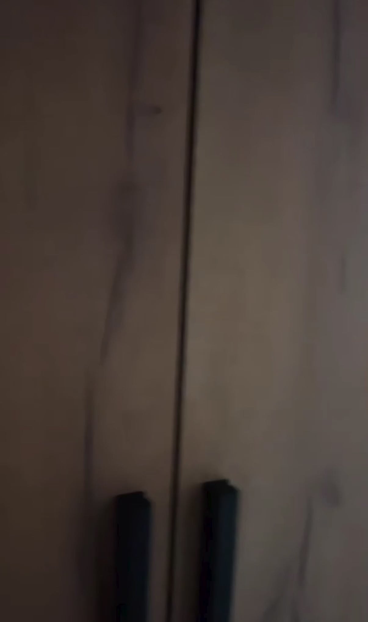 Charger la vidéo : 